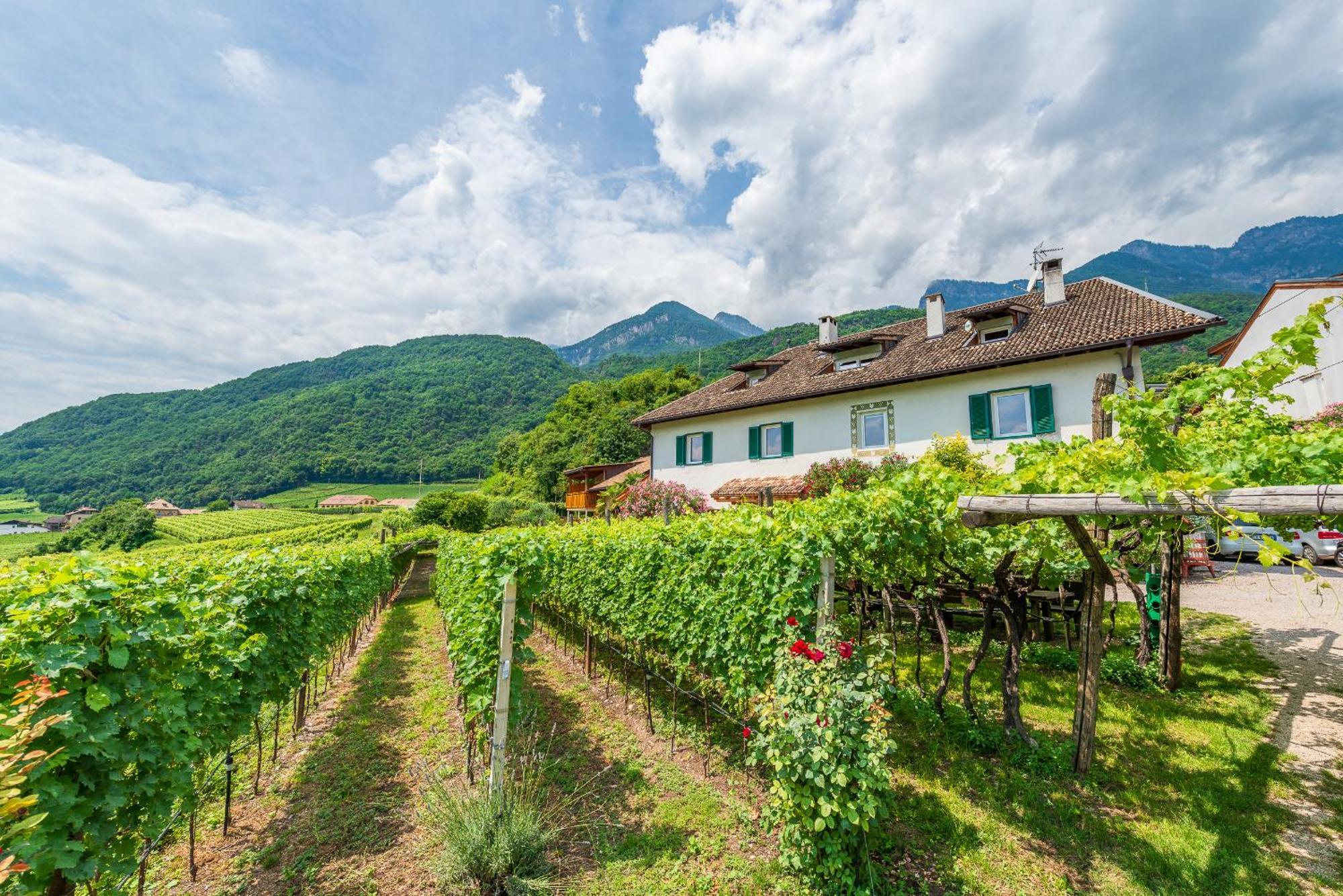 Weinhof Am See Caldaro Eksteriør billede