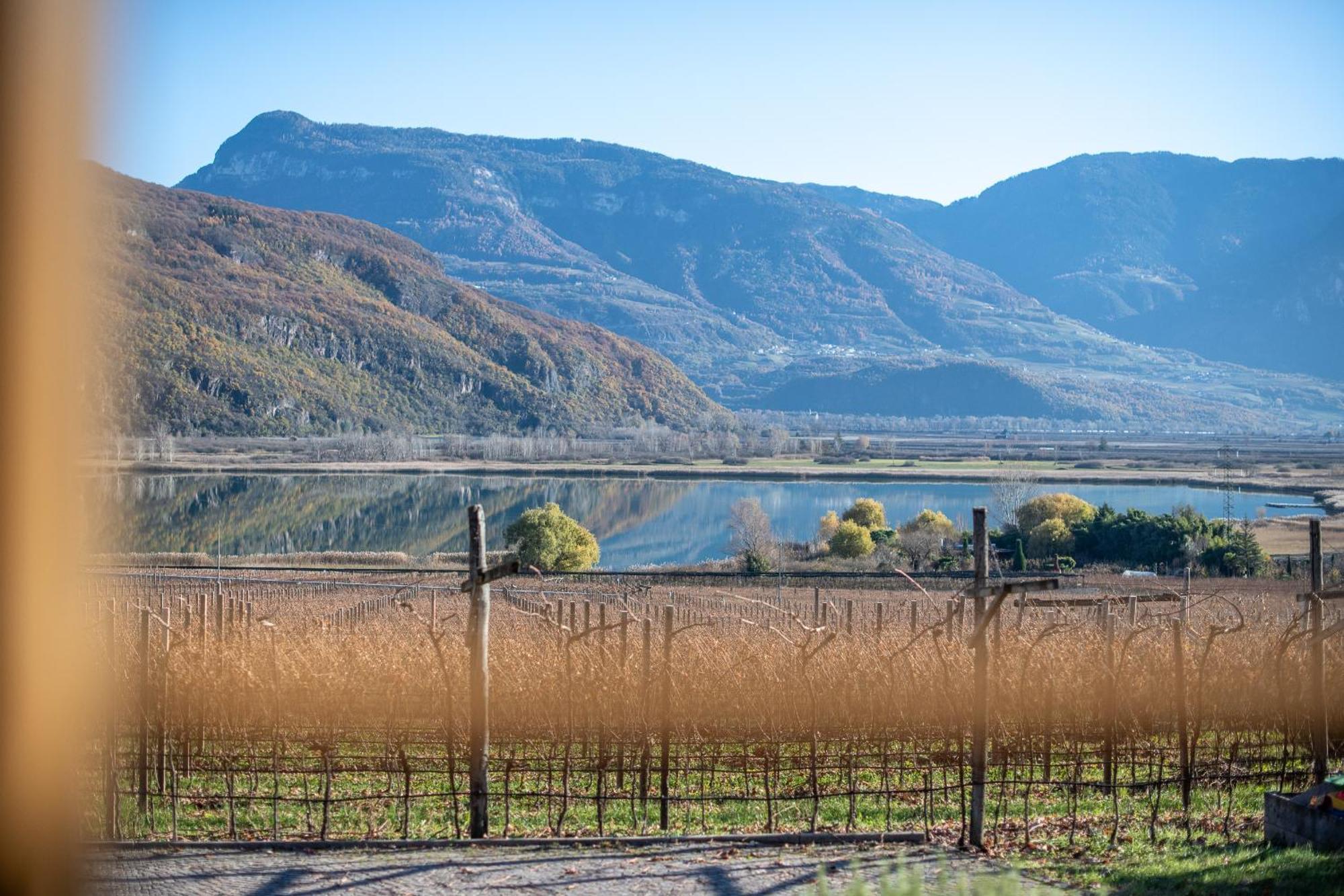 Weinhof Am See Caldaro Eksteriør billede